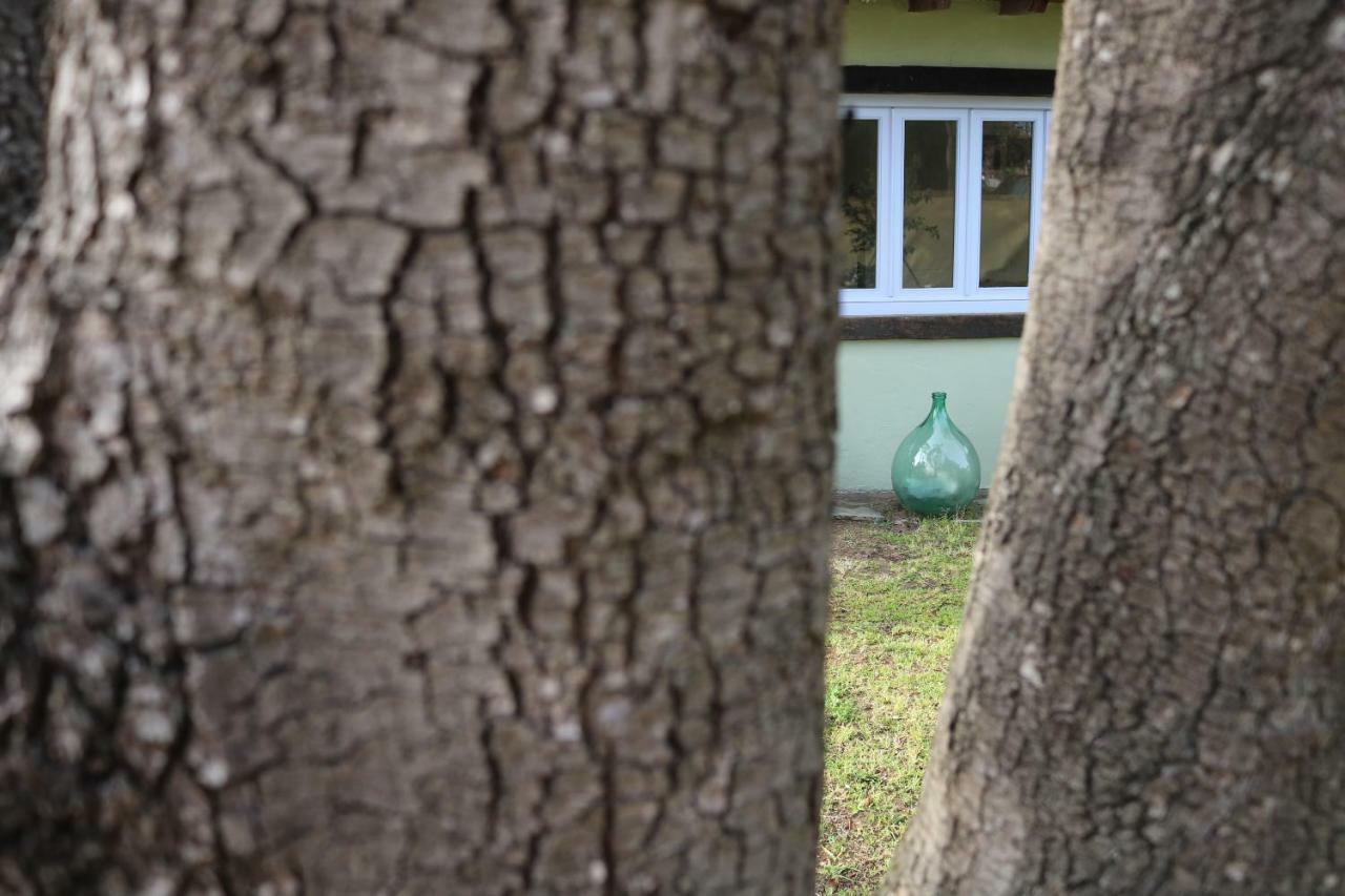 Lo Chalet Dell'Artista Torre del Lago Puccini Dış mekan fotoğraf